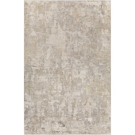 Livabliss Roswell RSW-2303 Machine Crafted Area Rug RSW2303-679